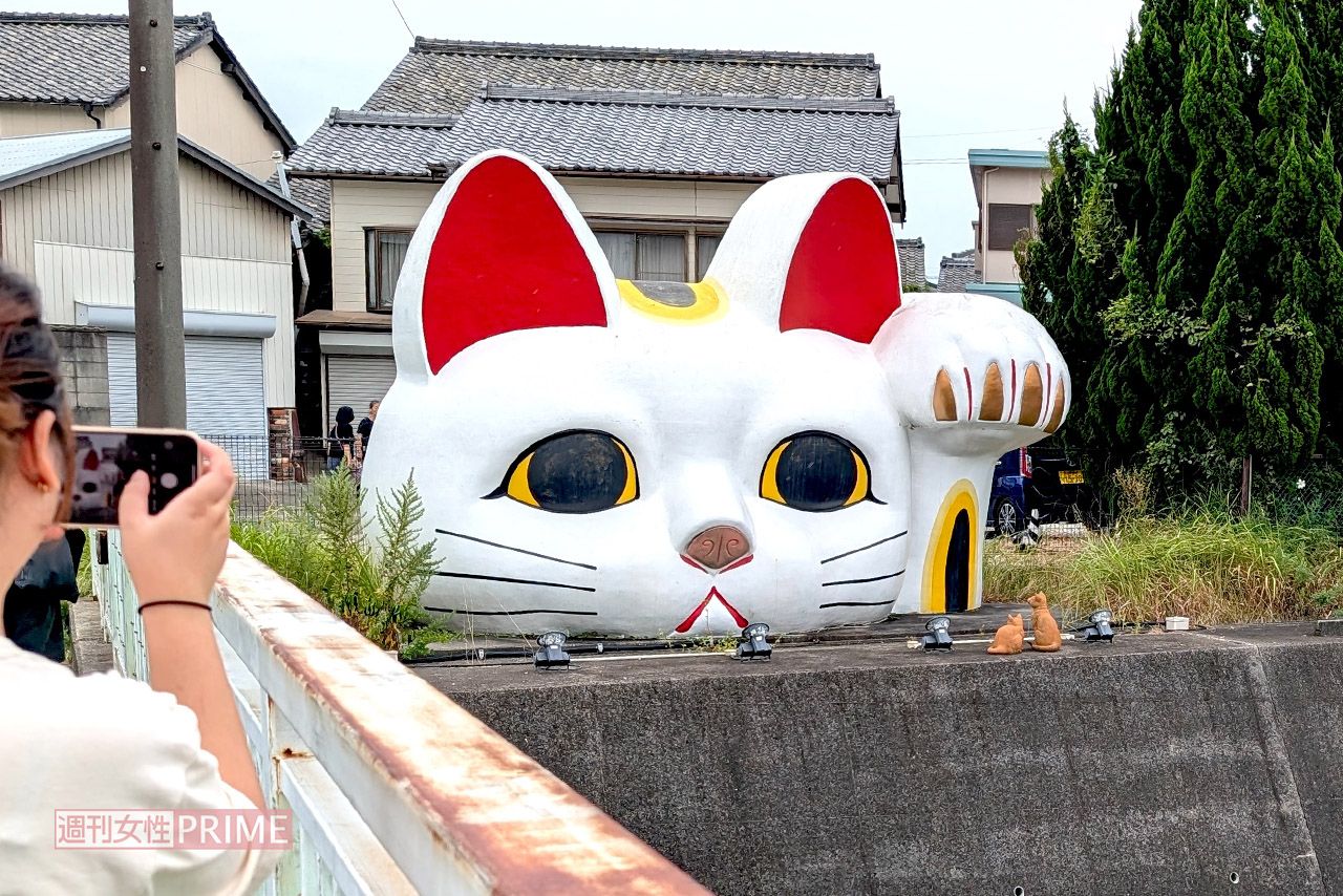 見守り猫「とこにゃん」を撮影する観光客　撮影／編集部
