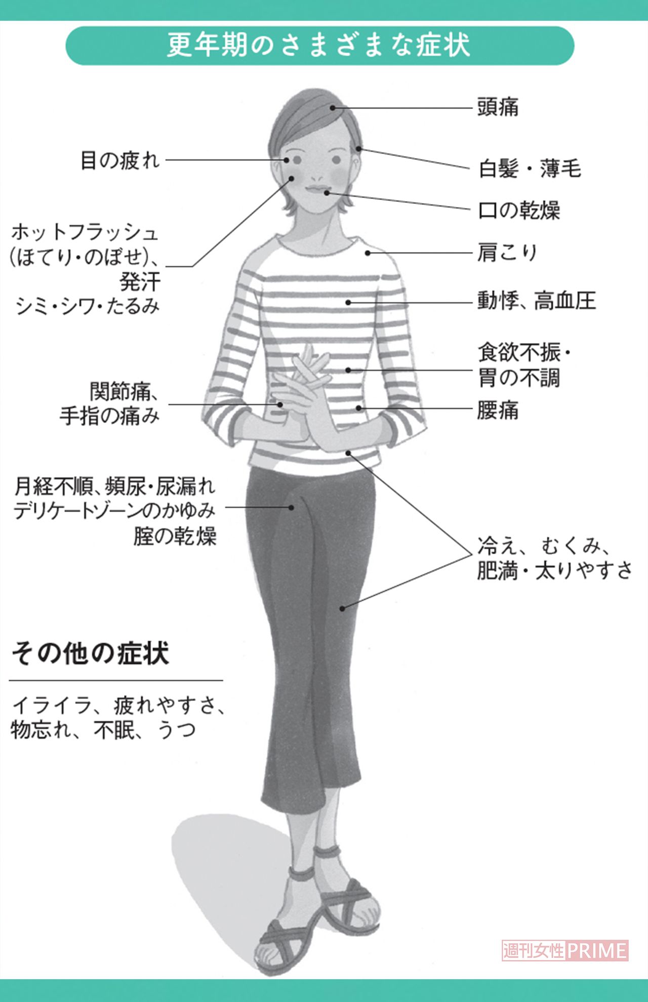 更年期のさまざまな症状　イラスト／岡本典子