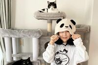 フォロワー32万人超え、“魔性の女”藤あや子が保護猫“マルオレ”のお母さんになって骨抜き！メロメロ生活…