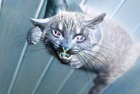 「胴体が真っ二つ」「ぶくぶくと内臓が露出」住民がおののく“猫の変死体が続出”の怪