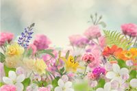 【心理診断】忘れ物で明らかになる、あなたの恋愛偏差値どれくらい?