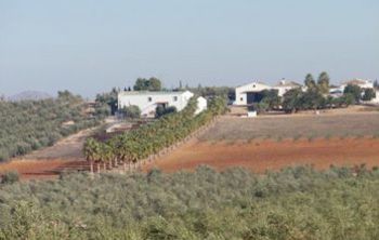 ラス・バルデサス農園