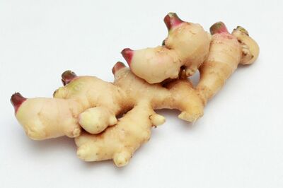 ※写真はイメージです