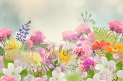 【心理診断】忘れ物で明らかになる、あなたの恋愛偏差値どれくらい？