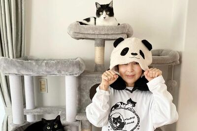 フォロワー32万人超え、“魔性の女”藤あや子が保護猫“マルオレ”のお母さんになって骨抜き！メロメロ生活…