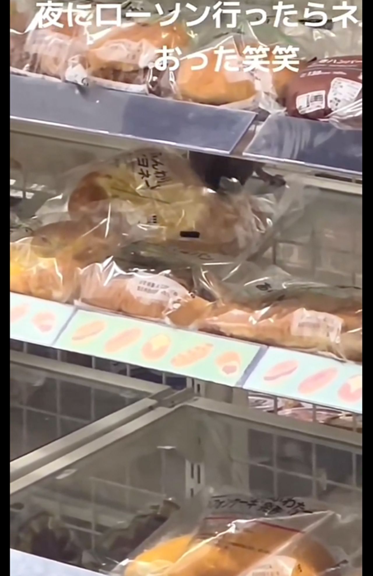 ローソン店内でネズミがパンをかじる動画。パンがガサガサ動いている（4/4、Xより）