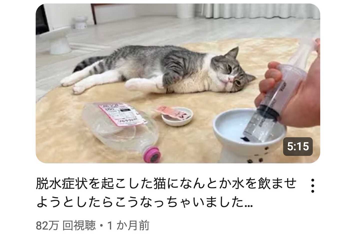 脱水状態でぐったりする「もちまる」（YouTubeチャンネル『もちまる日記』より）