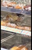 ローソン店内でネズミがパンをかじる動画。パンがガサガサ動いている(4/4、Xより)