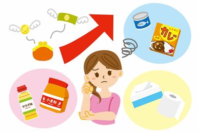 来年以降も価格高騰は続く可能性が大きい（イラストはイメージです）