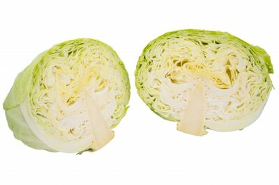 【知って楽しい雑学】キャベツの「切る」「洗う」はどちらが先？ 栄養を損なわない順番とカット野菜の扱い…