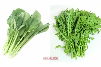 【食べるコロナ対策】今が旬「春菊&小松菜」の栄養がスゴい!免疫力アップレシピ