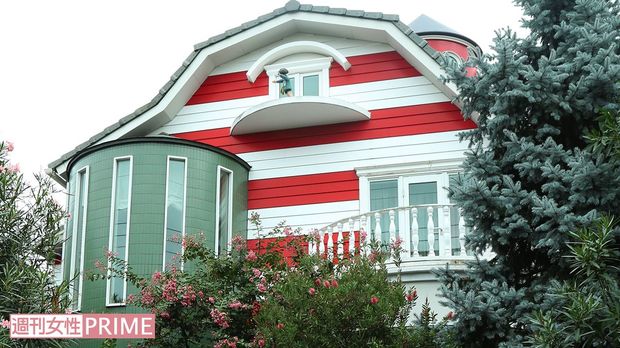 “まことちゃんハウス”の玄関前は草木が生い茂り、入りにくい状況に