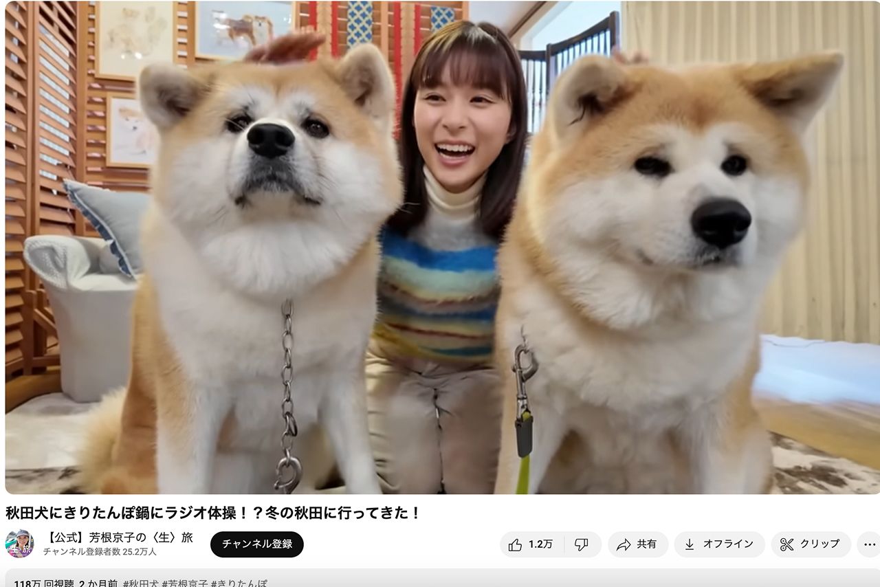 秋田犬とたわむれる芳根京子（YouTube『【公式】芳根京子の〈生〉旅』より）