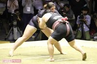 女子相撲の見えない壁を打ち砕く！ 世界に影響を与えた「女性力士」の挑戦