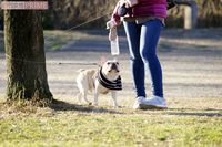 ペットの“クローン”に1000万円!? 生物学者は「同じDNAでも中身は別物です」