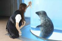 水族館で使える裏ワザ　生き物と急接近できる水槽越しの引き寄せ方法