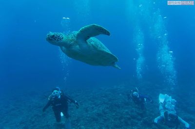 オフには仲間を招いて宮古島へ（右から2人目が中村さん）　撮影／渡邉智裕