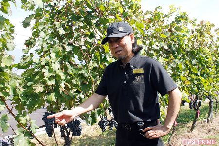 ツアーガイドをする山田さん。たまに、“おさらい”を出題してくるので油断禁物