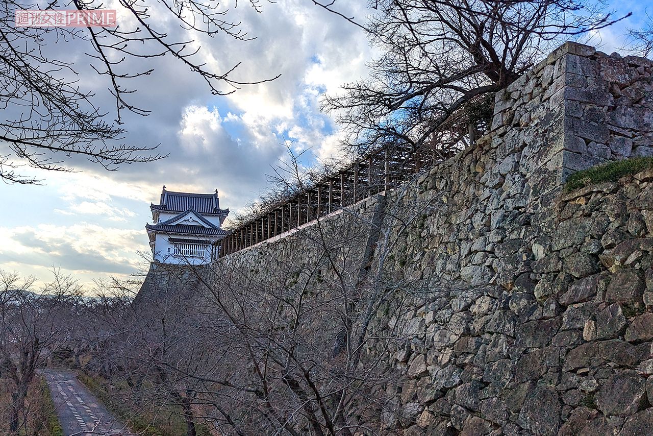 つやま自然のふしぎ館の近くには津山城も　撮影／編集部