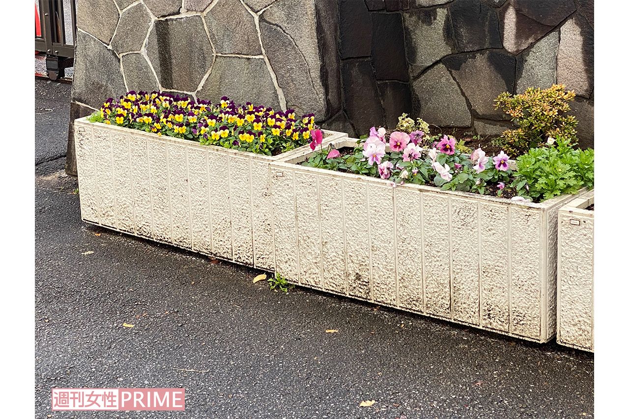 小学校の正門前にはプランターがある