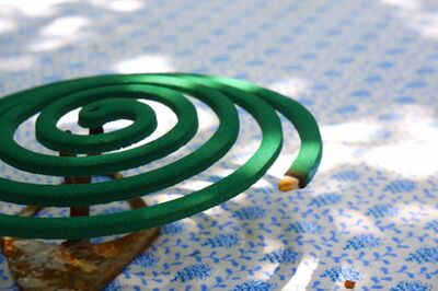 ※画像はイメージです