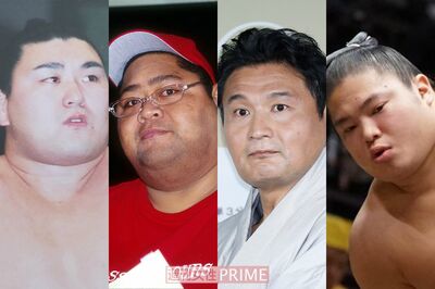 相撲界から転職！貴乃花は絵本作家、小錦は歌手、介護士にYouTuberにブリーダー「元力士の第2の人生」意外…