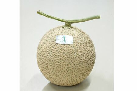 木箱入りの高級メロンを差し入れした叶姉妹（店舗公式SNSより）