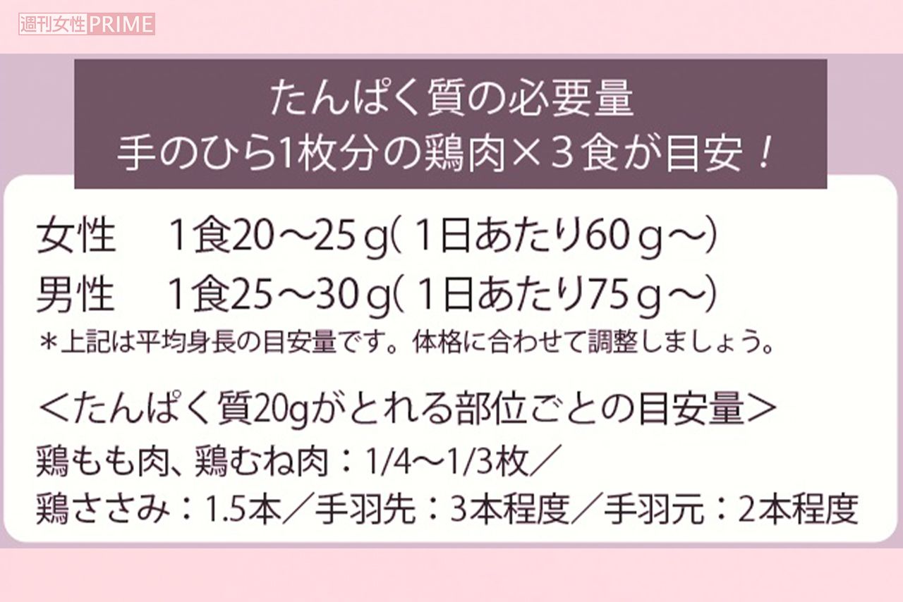 たんぱく質の必要量