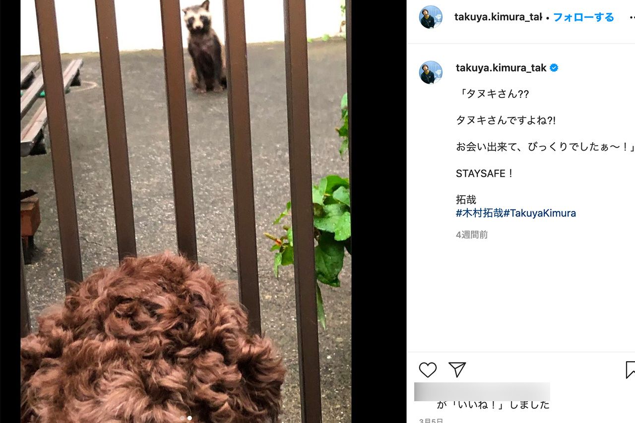 3月5日、住宅街に出没した“タヌキ”。愛犬も見据えて（@takuya.kimura_takより）