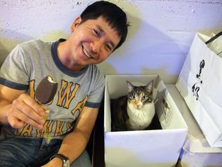 「ねこほど癒されるものはありません」