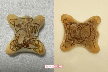 やっと出会えた！　出前コアラ（左）とオンラインコアラ（右）