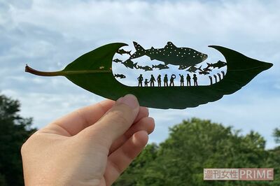 ツイッターで大反響を集めた『葉っぱのアクアリウム』。フォロワーも急激に増え、これをきっかけにリトさんへの注目度が日増しに高まっていく