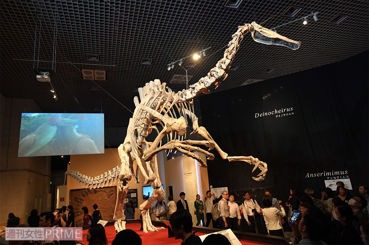 「恐ろしい手」と名づけられた、大迫力の前あしを持つデイノケイルス。“謎の恐竜”とされたが、全身骨格を世界で初めて復元