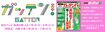 ※画像をクリックすると『ガッテン!』の雑誌紹介ページにジャンプします