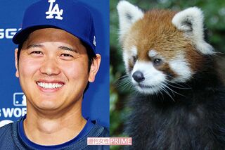 7月5日、同じ誕生日の大谷翔平とレッサーパンダの風太くん