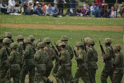 写真はイメージです