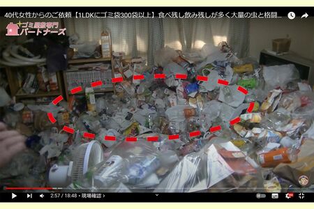 背の高さまで積み上がったゴミの山。踏みつぶされて圧縮しているので、見た目以上の物量に。依頼者は、点線で囲まれた凹んだ場所に寝ていたという　写真／「ゴミ屋敷専門パートナーズ」YouTubeチャンネルより