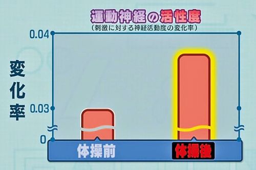 体操後（右）は運動神経の活性度が高まった。実験協力◎東京大学身体運動科学教授・中澤公孝さん