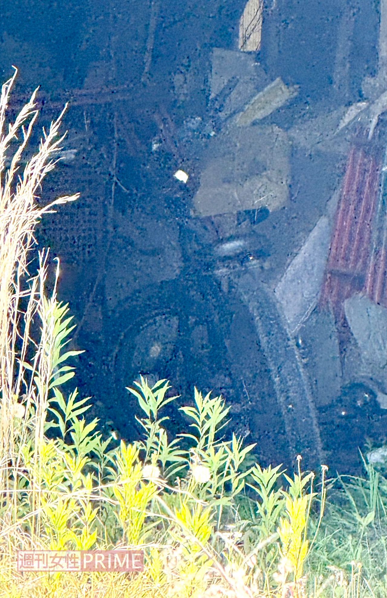 敷地内の納屋とみられる建物にはタイヤの太い自転車が…。これに乗り、日常的に近所を走っていたという目撃情報は多い