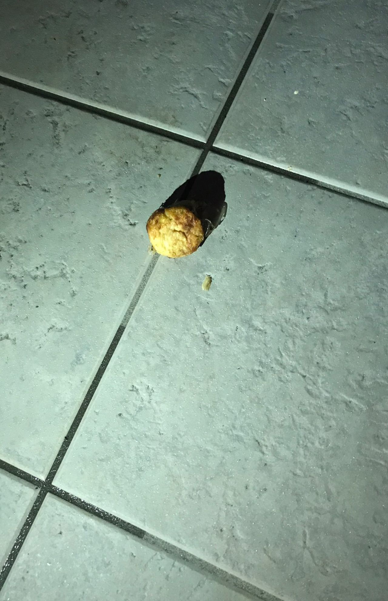 玄関先に投げ込まれたたこ焼き