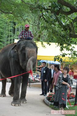 『サユリワールド』開園日のセレモニー。小百合さんの夢がまたひとつ現実になった瞬間だった