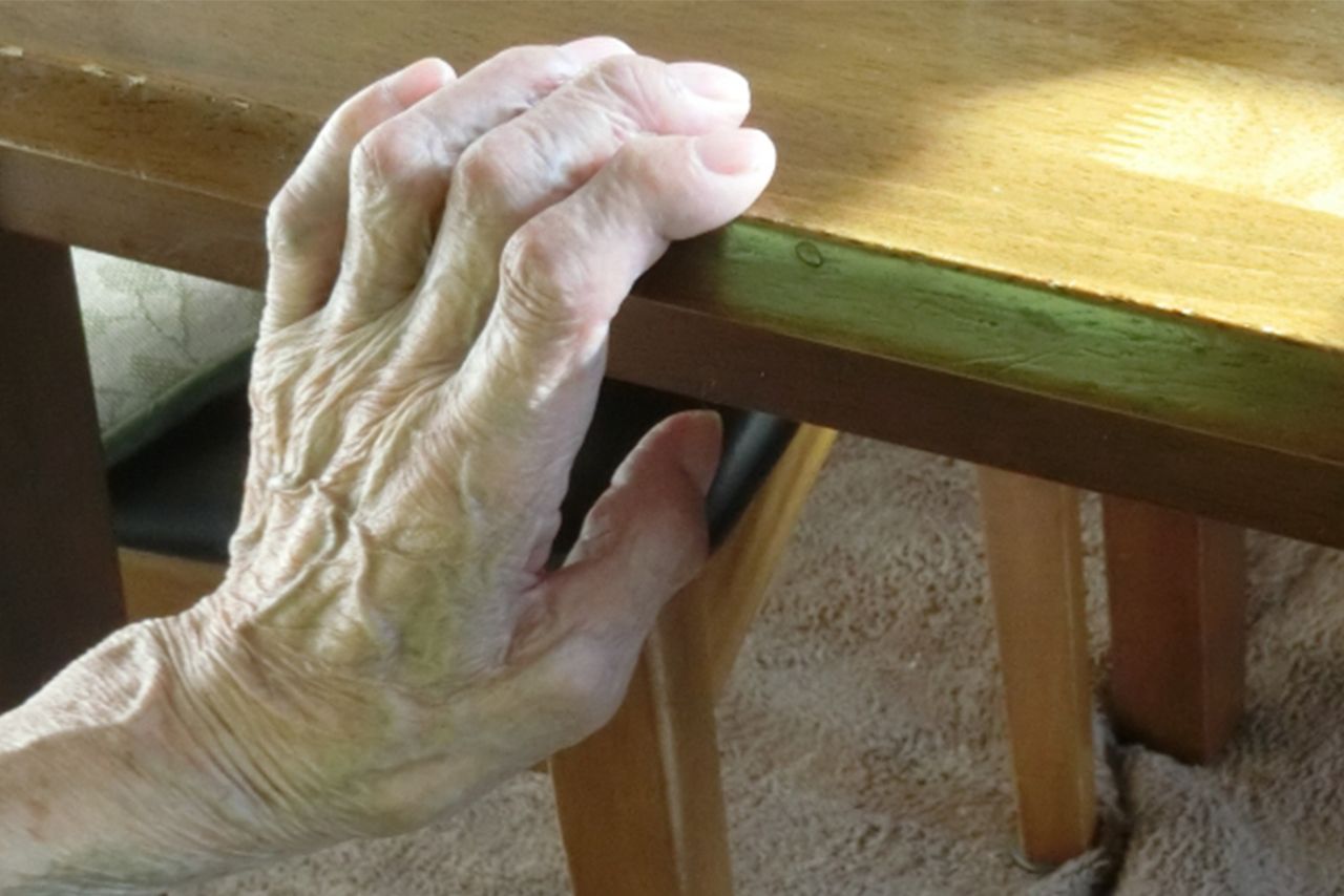 ※写真はイメージです