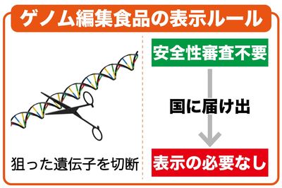 ゲノム編集食品表示のルール。安全審査も要らず、国に届け出さえすれば表示の義務もない