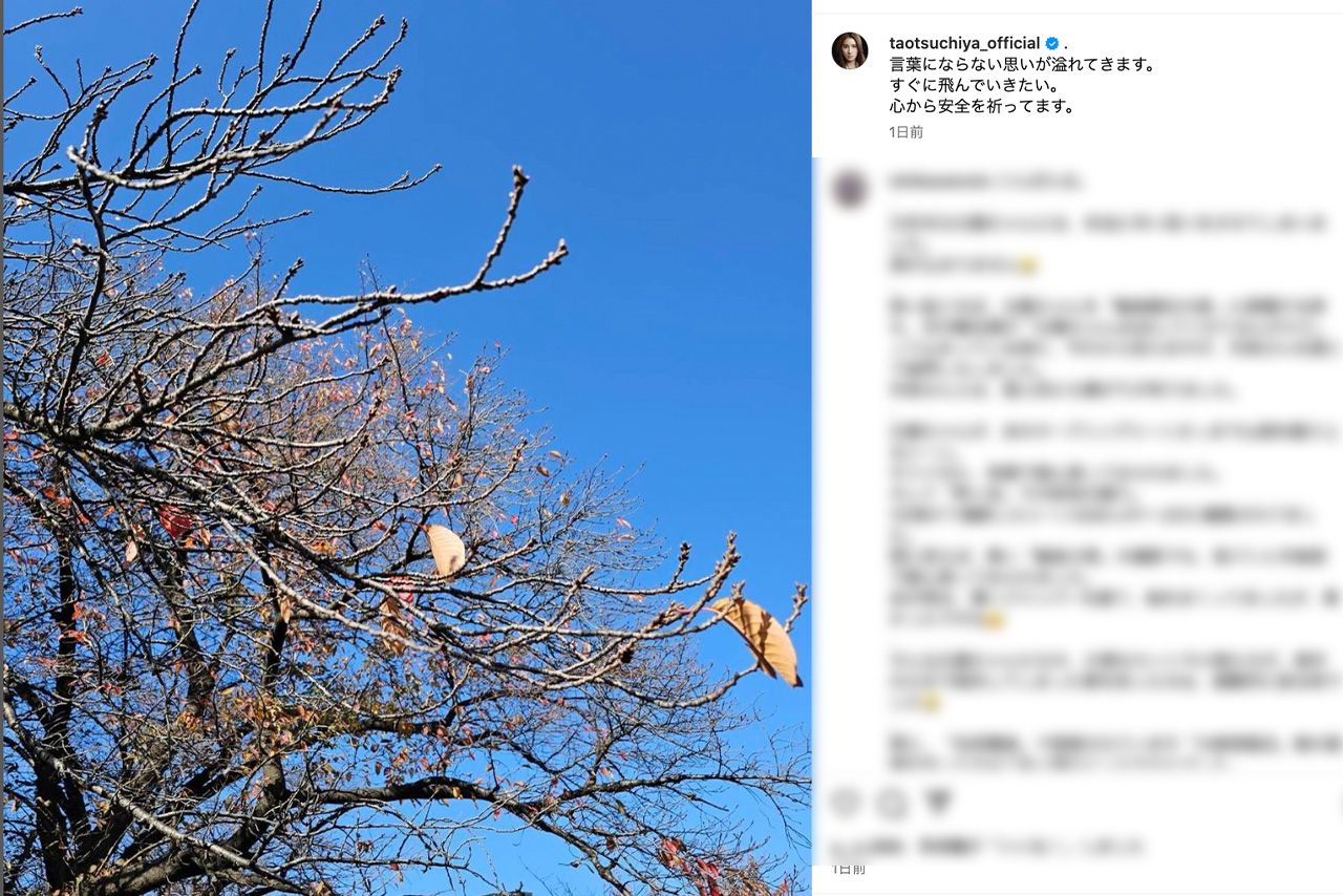 令和6年能登半島地震後に更新された土屋太鳳の公式インスタグラム