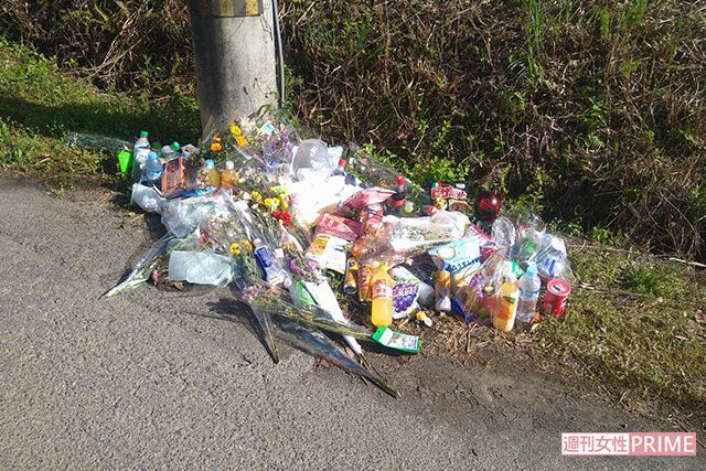《京都小6男児遺体遺棄事件》遺体発見現場の100mにも献花や供物が