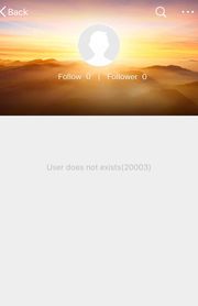 小島瑠璃子の『weibo』アカウントをクリックすると表示される画面（2020年8月5日現在）