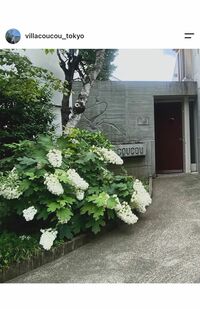 鈴木京香が“管理人”の「ヴィラ・クゥクゥ」（公式インスタより）
