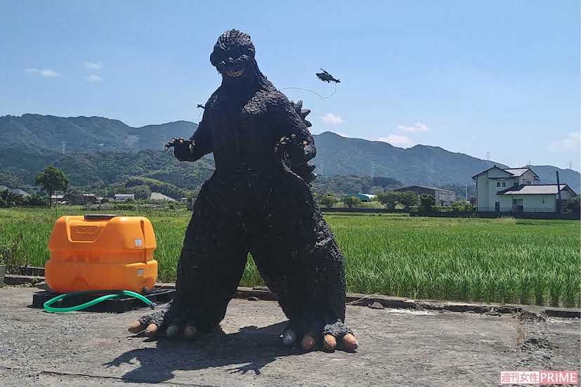 佐々木さんの倉庫にあったゴジラとモスラ。義理の父親がペットボトルから造ったもので、ゴジラは高さ3m近く。町の名物にもなっている