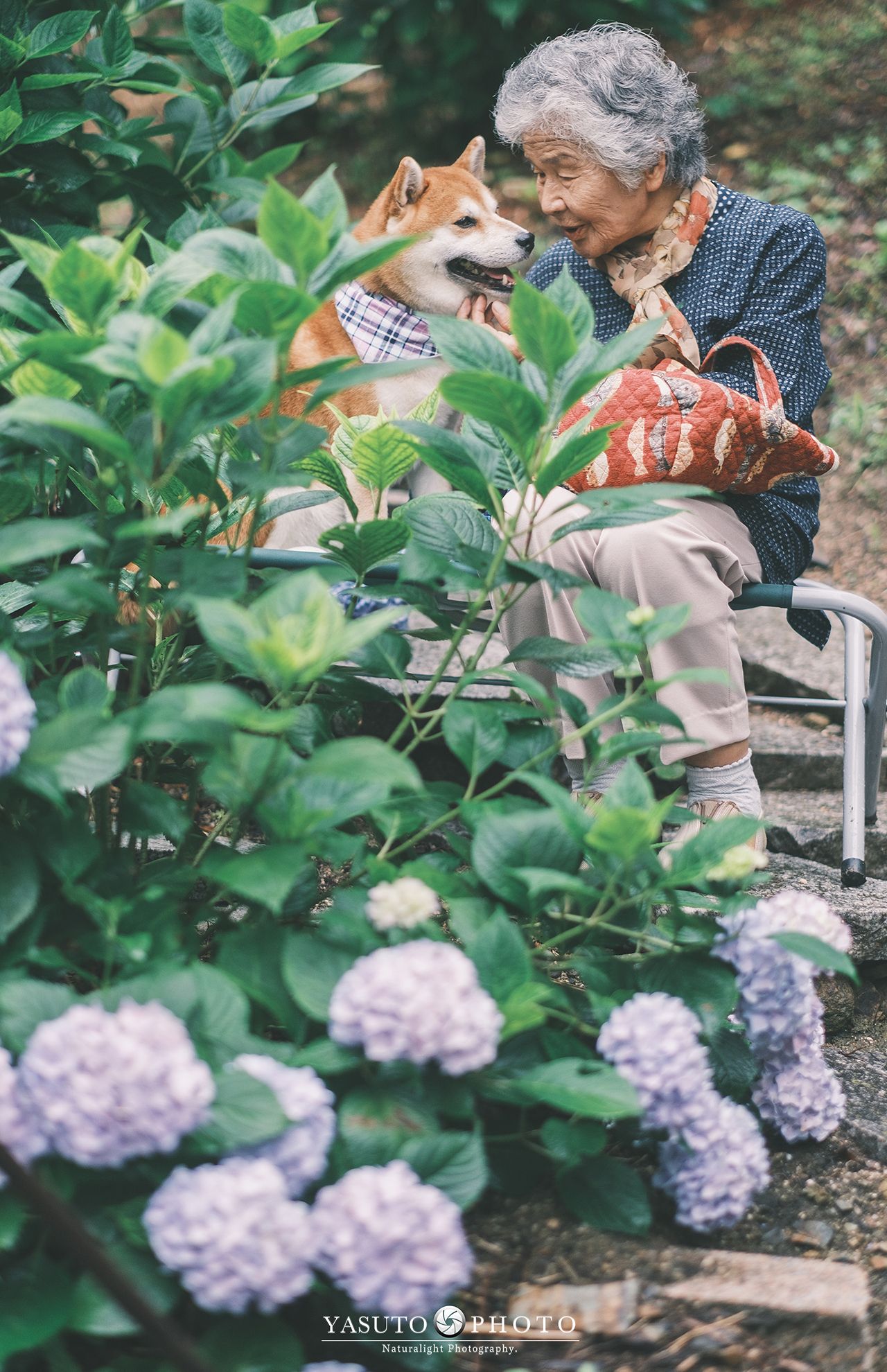 愛犬の福ちゃんは、おじいちゃんが亡くなった2015年に生まれた　提供：YASUTO