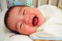 「3人っ子政策」「公園で母親が婚活」日本ではありえない、中国のトンデモ少子化対策